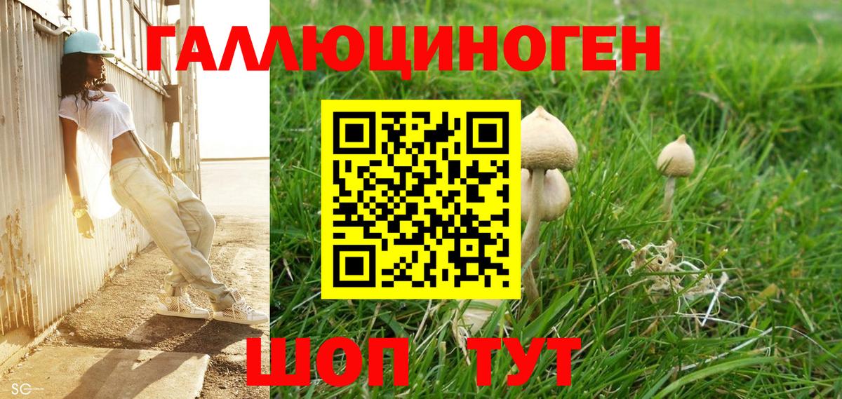 Лыткарино  Галлюциногенные грибы Psilocybine cubensis  Вход с VPN 