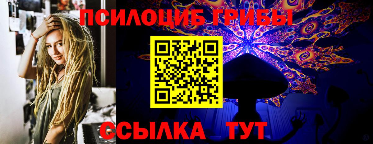 Галлюциногенные грибы Psilocybine cubensis Лыткарино
